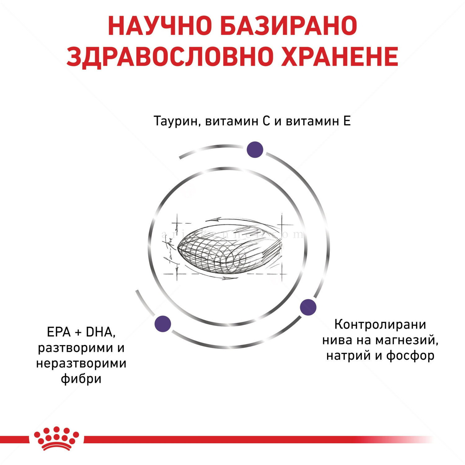 ROYAL CANIN 2 кг Vet Expert Adult