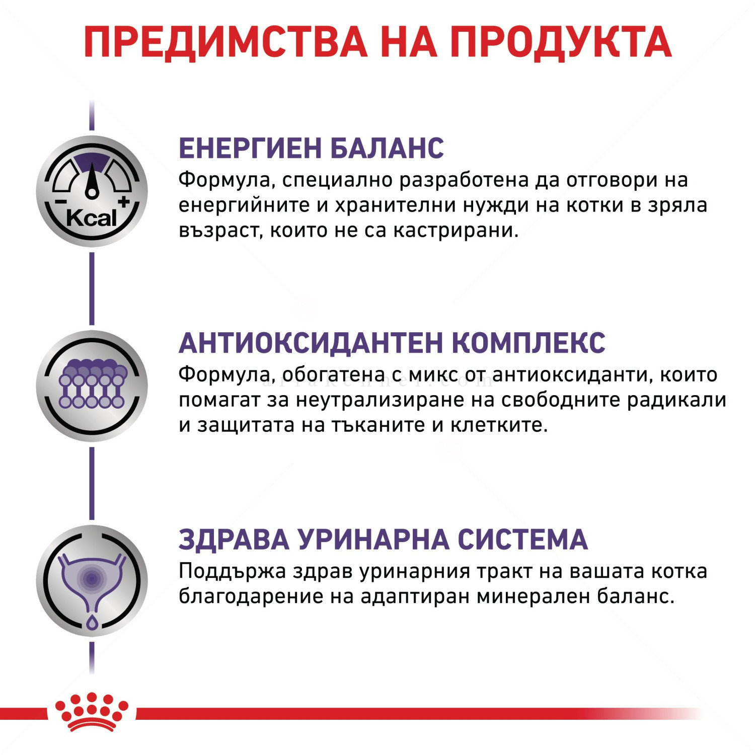ROYAL CANIN 2 кг Vet Expert Adult