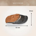 Говеждо копито с пълнеж ANTOS Hooves Meaty, 1 брой