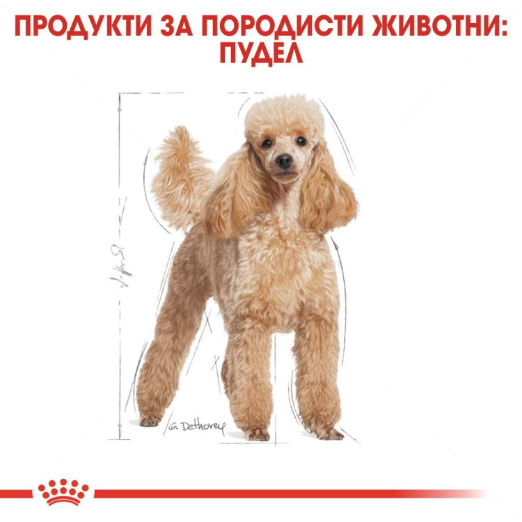 ROYAL CANIN Adult Poodle - 7.500 кг