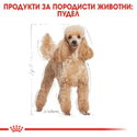 ROYAL CANIN Adult Poodle - 7.500 кг