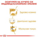 ROYAL CANIN Adult Poodle - 7.500 кг