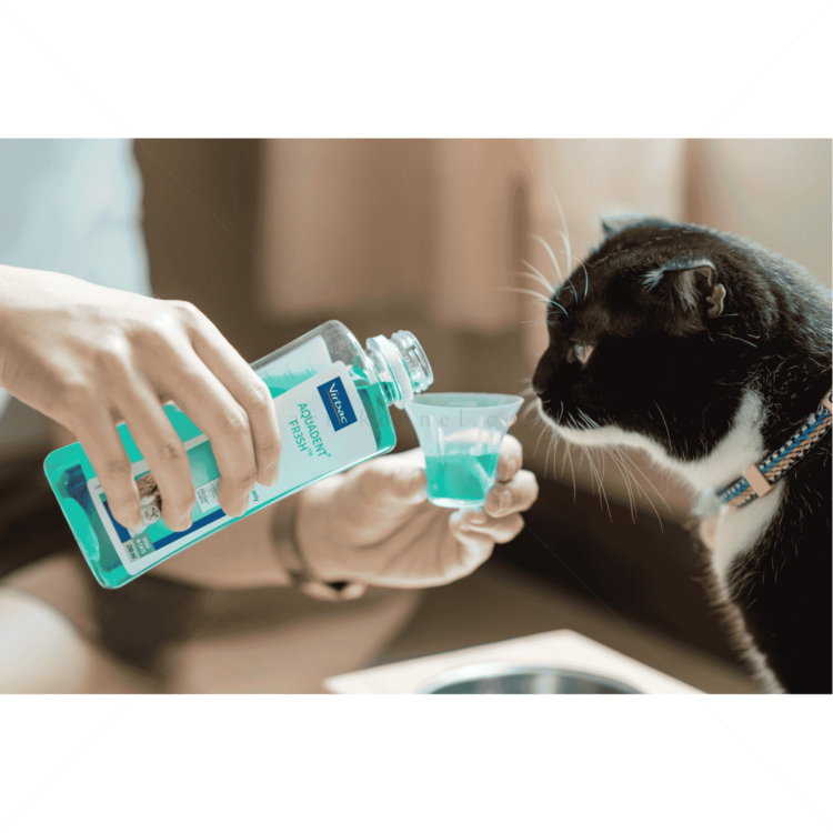 Вода за уста VIRBAC Vet Aquadent FR3SH™