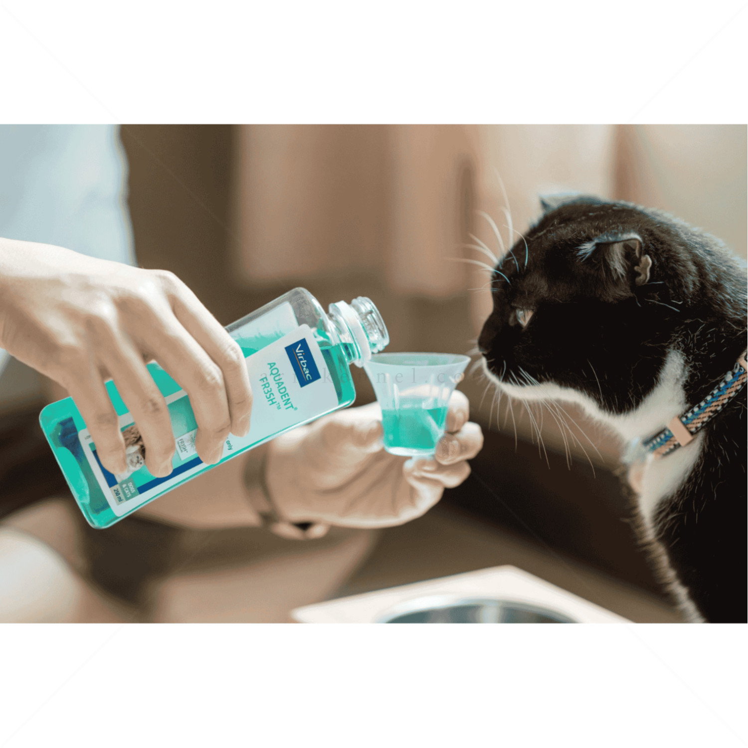 Вода за уста VIRBAC Vet Aquadent FR3SH™