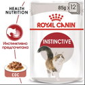 Пауч за котки над 1 година 85 гр ROYAL CANIN Instinctive - в сос грейви
