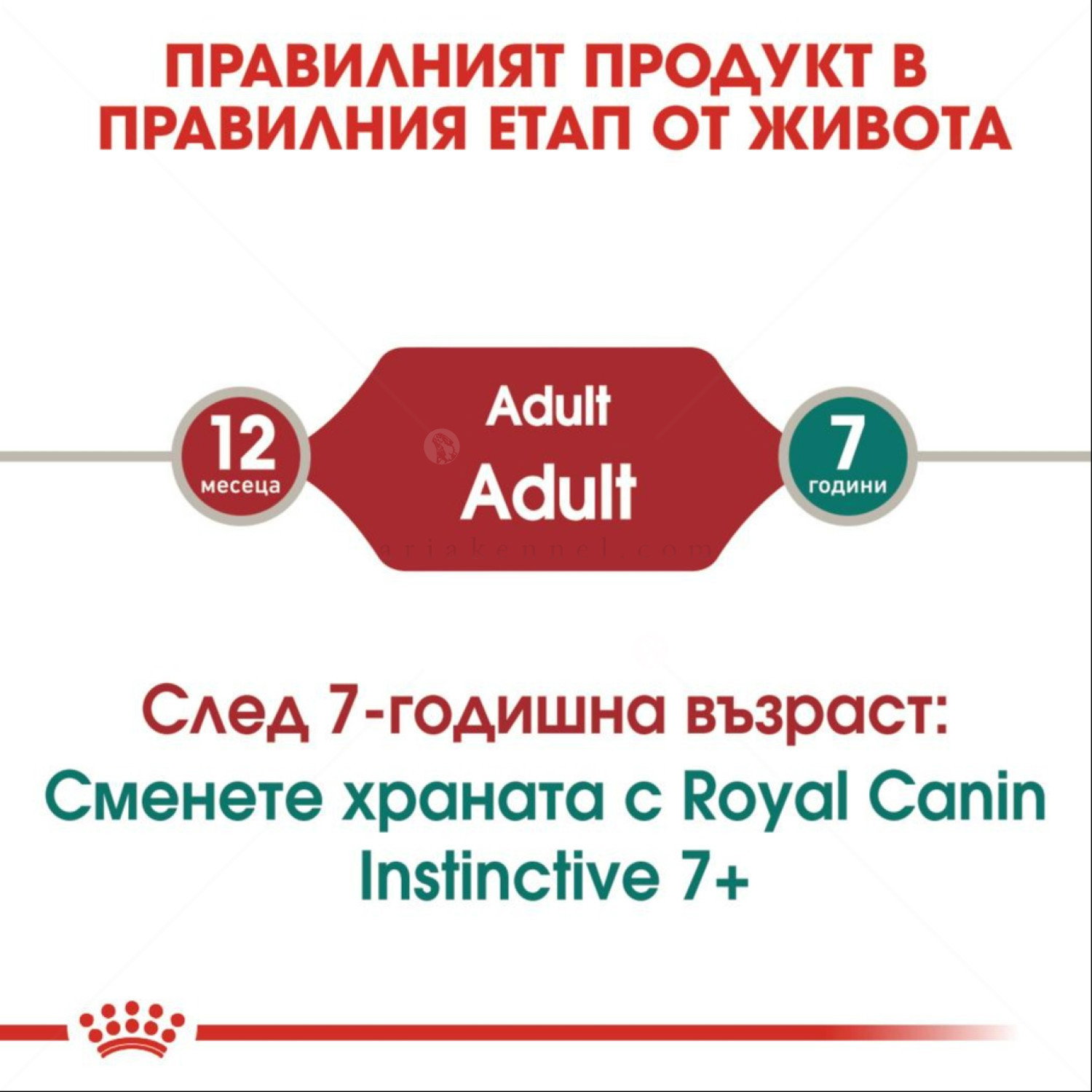 Пауч за котки над 1 година 85 гр ROYAL CANIN Instinctive - в сос грейви