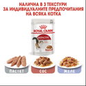 Пауч за котки над 1 година 85 гр ROYAL CANIN Instinctive - в сос грейви
