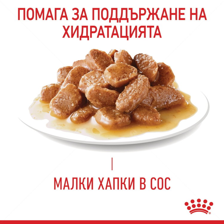 Пауч за котки с чувствителен стомах 85 гр ROYAL CANIN Digest Sensitive - в сос грейви