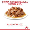 Пауч за котки с чувствителен стомах 85 гр ROYAL CANIN Digest Sensitive - в сос грейви