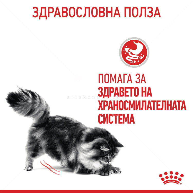 Пауч за котки с чувствителен стомах 85 гр ROYAL CANIN Digest Sensitive - в сос грейви