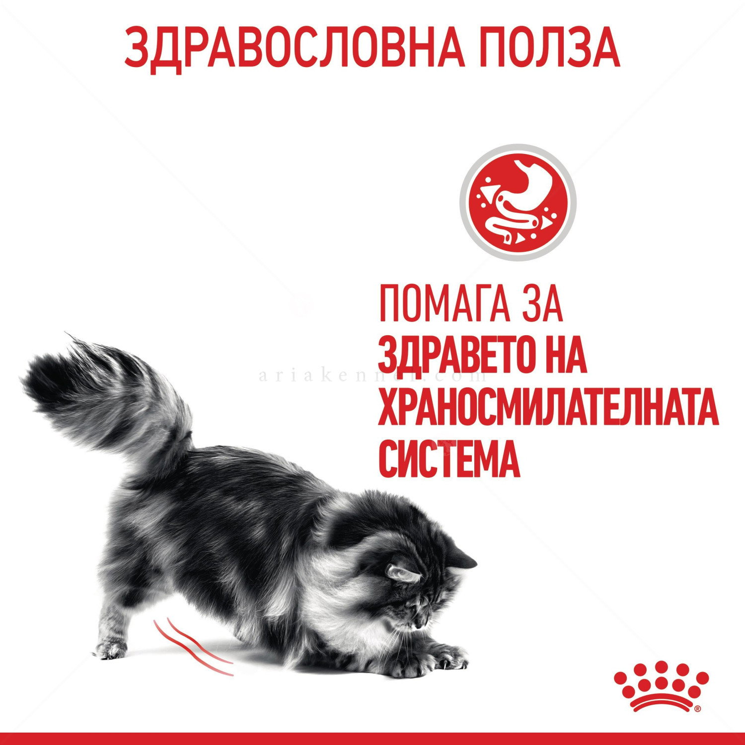 Пауч за котки с чувствителен стомах 85 гр ROYAL CANIN Digest Sensitive - в сос грейви