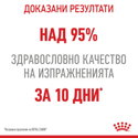 Пауч за котки с чувствителен стомах 85 гр ROYAL CANIN Digest Sensitive - в сос грейви