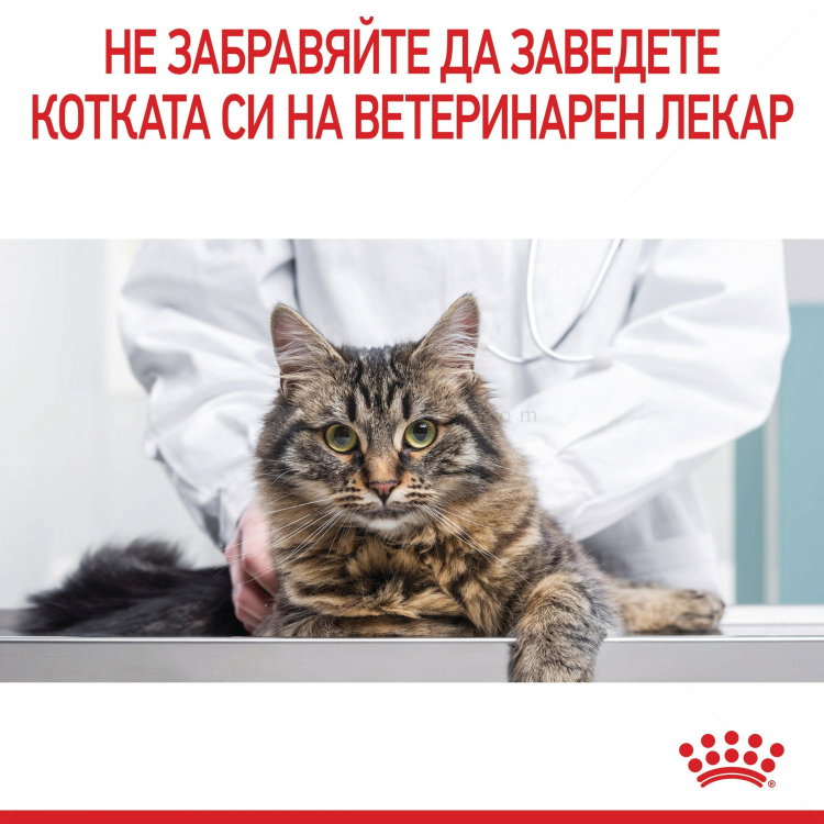 Пауч за котки с чувствителен стомах 85 гр ROYAL CANIN Digest Sensitive - в сос грейви