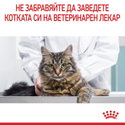 Пауч за котки с чувствителен стомах 85 гр ROYAL CANIN Digest Sensitive - в сос грейви