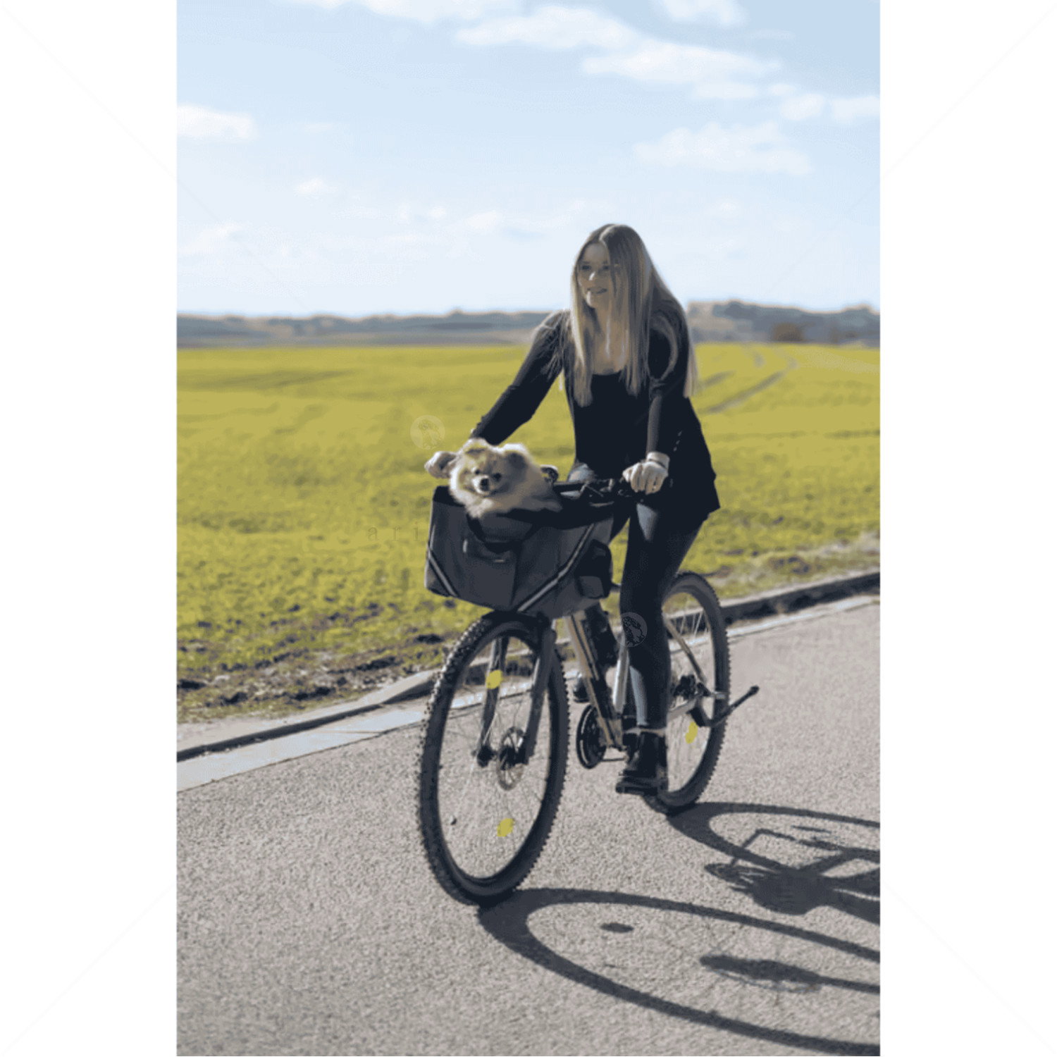 Чанта за пътуване за велосипед KERBL Bike Bag Vacation, grey/ blue