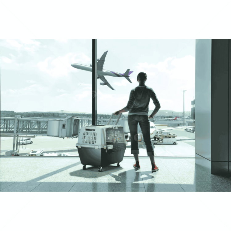 Транспортна клетка Gulliver IATA, Stefanplast