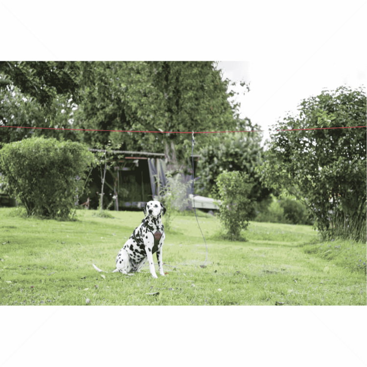 Комплект дворни поводи 15+3 м KERBL Set Yard leash