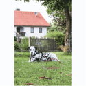 Стоманена спирала с въже за двор 6 м KERBL Spiral stake with yard lead