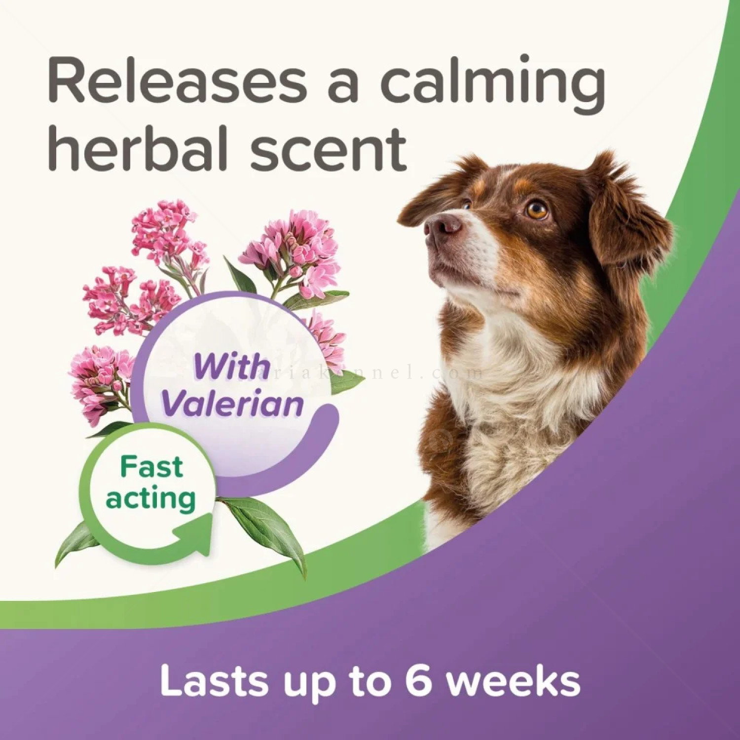 Успокояващи пипети BEAPHAR StressLess Calming Spot On Dog