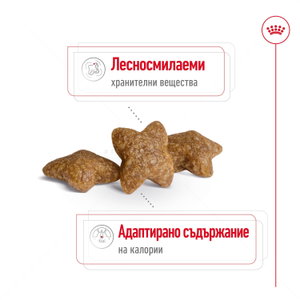 ROYAL CANIN Mini Adult - 8+1 кг