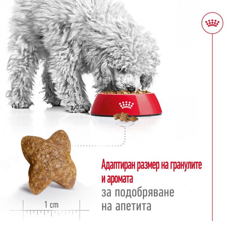 ROYAL CANIN Mini Adult - 8+1 кг