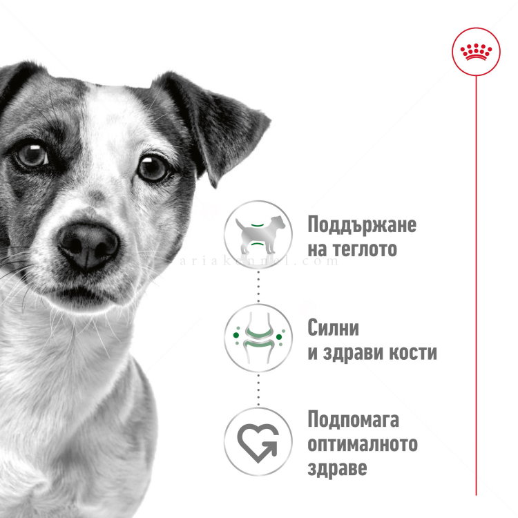 ROYAL CANIN Mini Adult - 8+1 кг