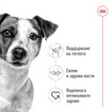 ROYAL CANIN Mini Adult - 8+1 кг