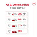 ROYAL CANIN Mini Adult - 8+1 кг