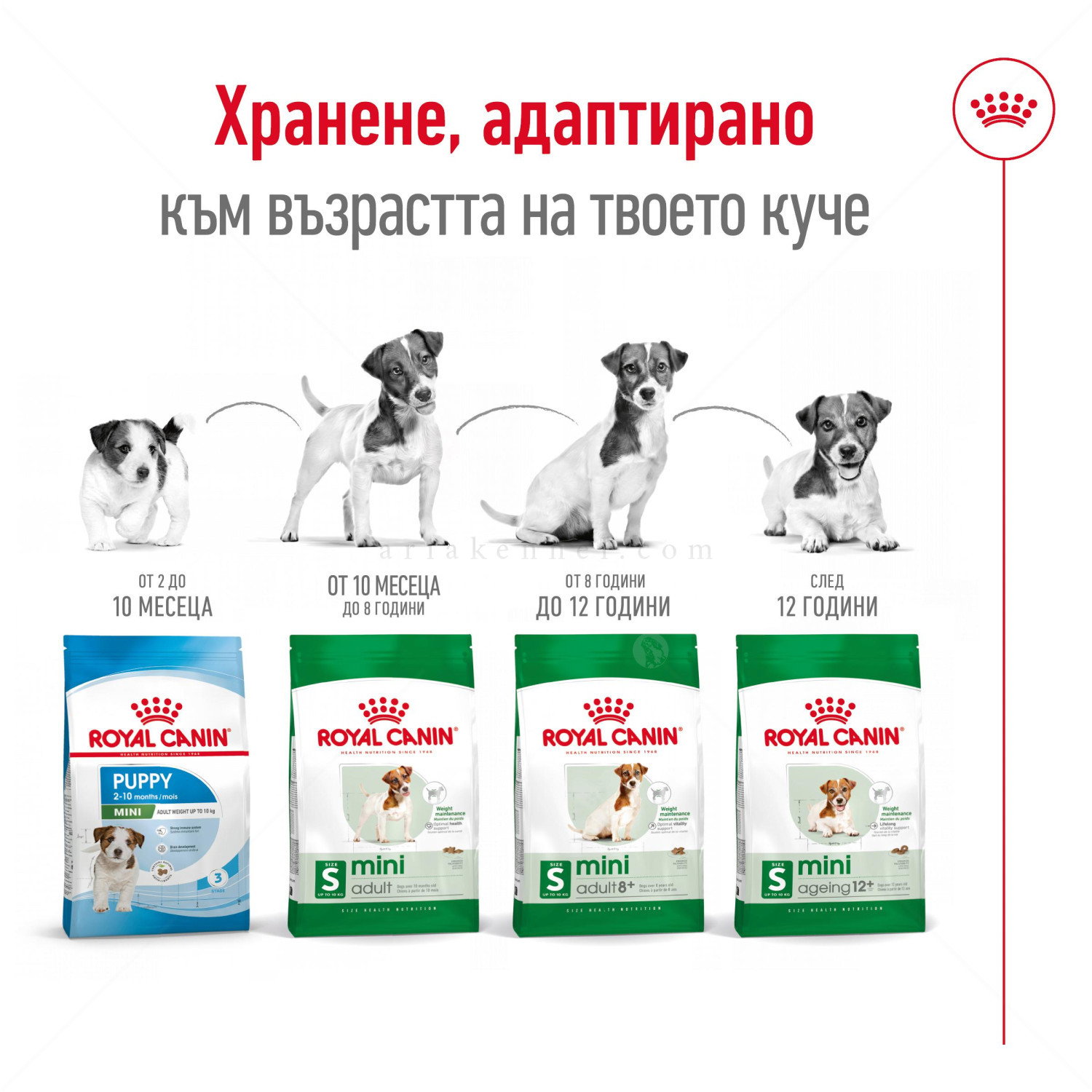 ROYAL CANIN Mini Adult - 8+1 кг