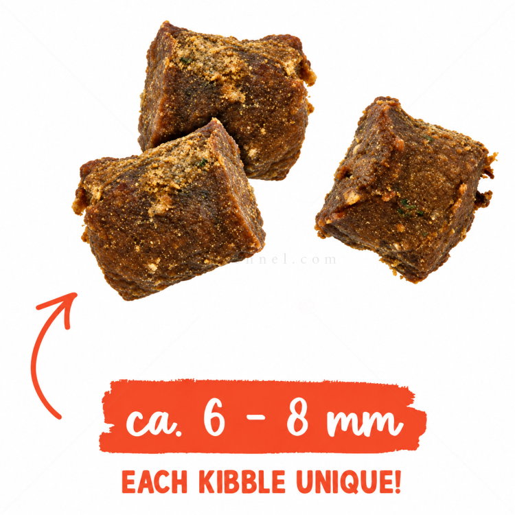 Меко лакомство със сьомга за израснали котки 40 гр SANABELLE Juicy Salmon