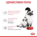 Ултра мек мус за малки котенца 195 гр ROYAL CANIN Mother & Babycat