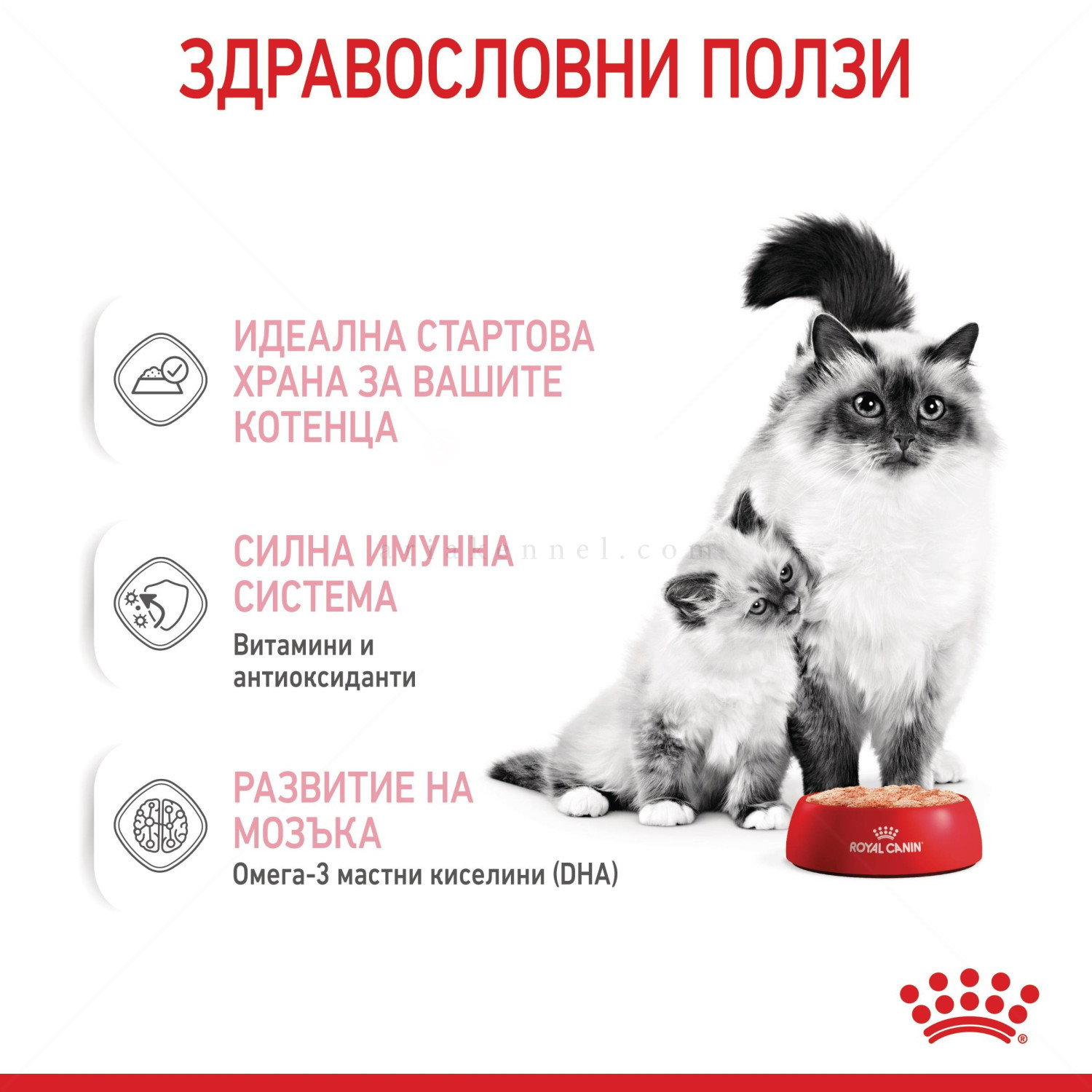 Ултра мек мус за малки котенца 195 гр ROYAL CANIN Mother & Babycat
