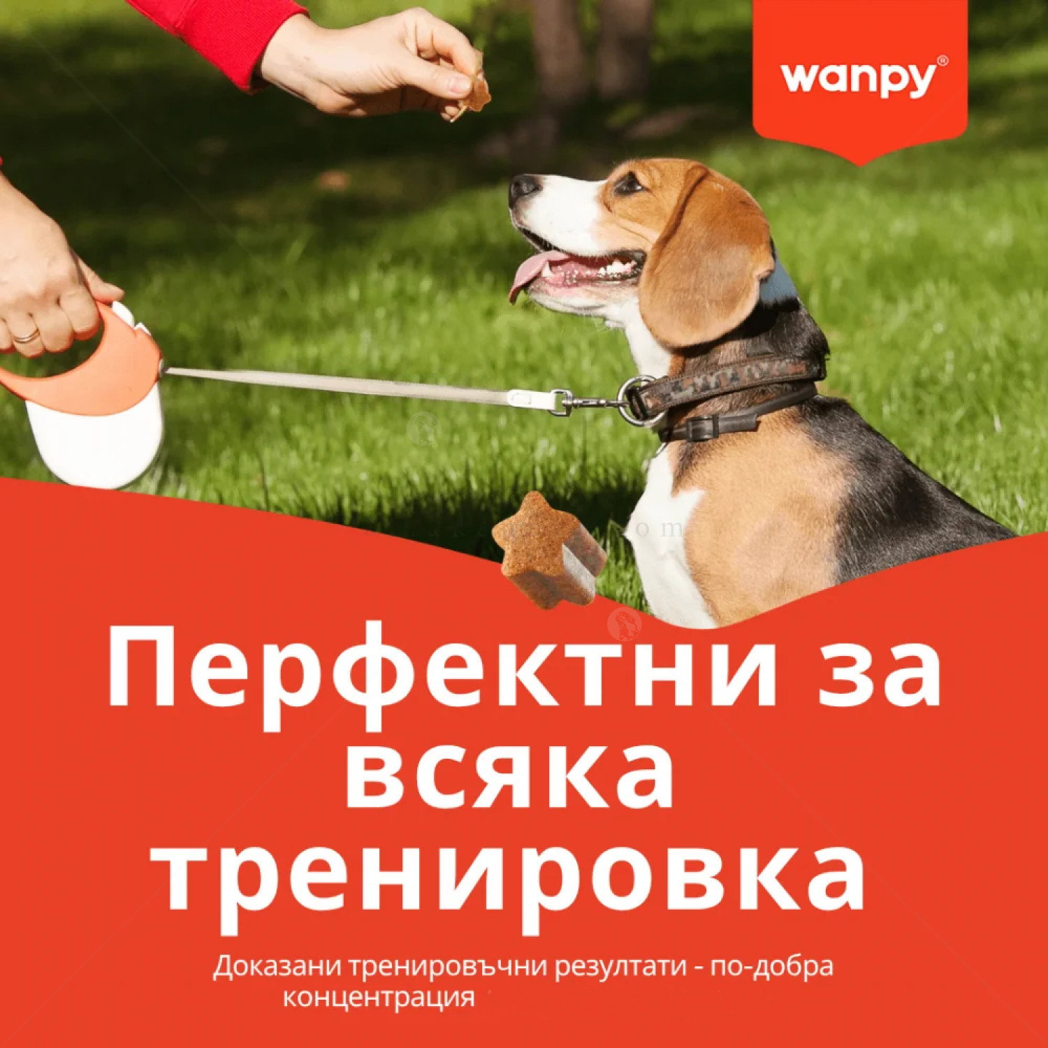 Тренировъчни хапки с патешко месо WANPY Training Bites Duck