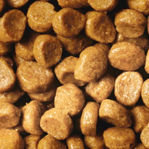 PRO PLAN® Original Kitten 1.500 кг