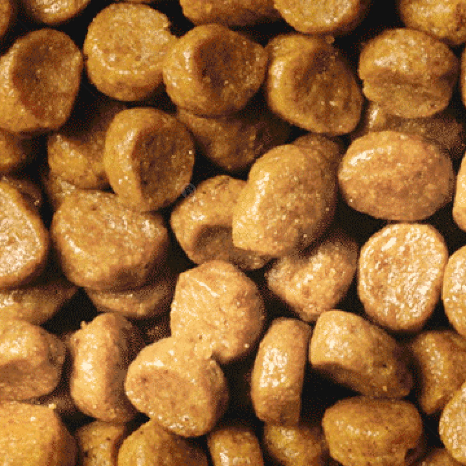 PRO PLAN® Original Kitten 1.500 кг