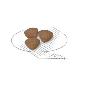 ROYAL CANIN Mini Puppy - 0.800 кг