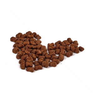 Лакомства за здрава храносмилателна система 70 гр DOG VISION Functional treat Digestive