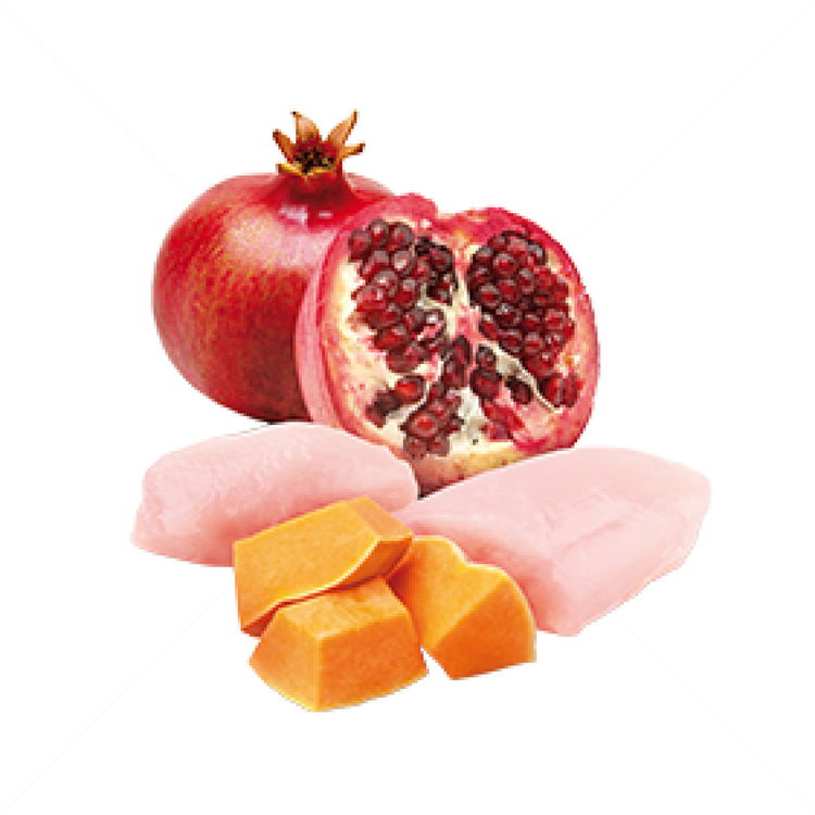 N&D Dog 140 гр Starter Mini - Chicken, pumpkin and pomegranate