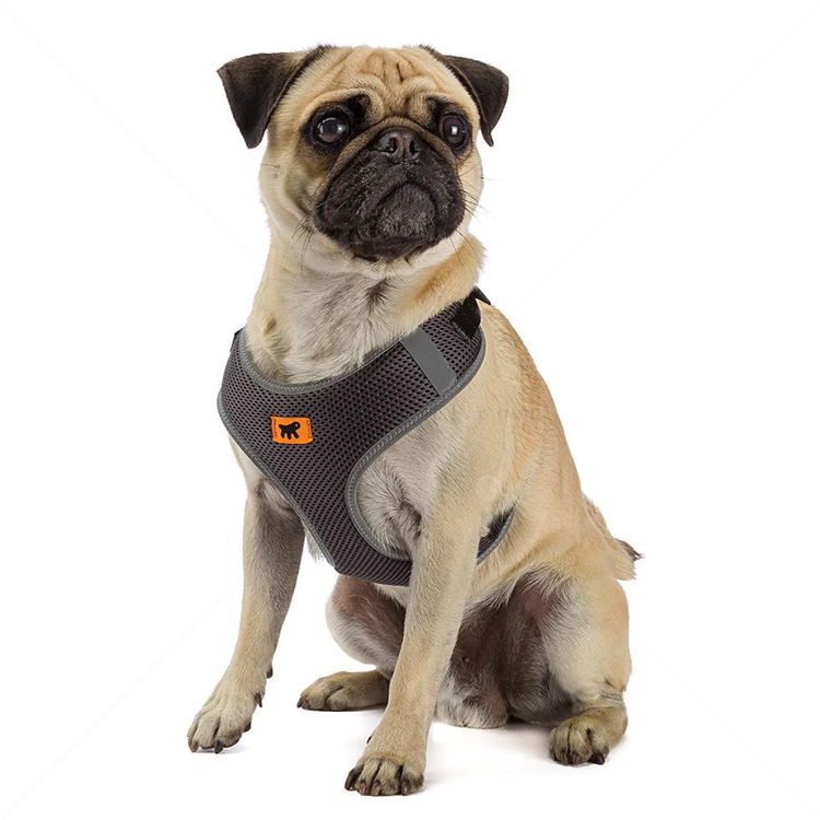 FERPLAST Nikita Нагръдник светлоотразителен, черен